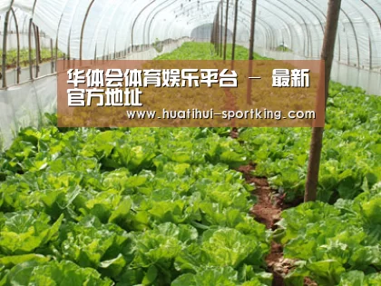 种植基地五