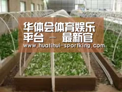 环境展示五