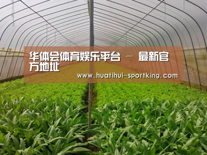 种植基地四