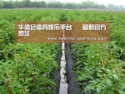 种植基地三