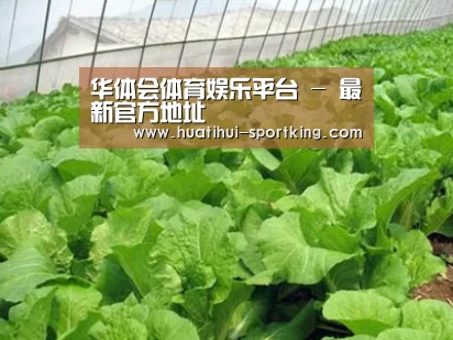 种植基地一