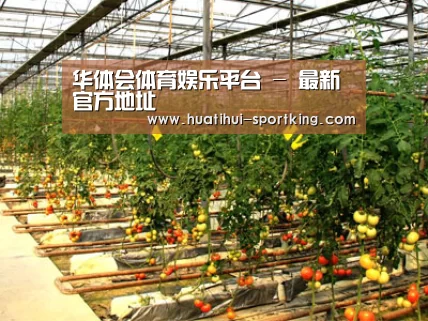 种植基地二(图1)