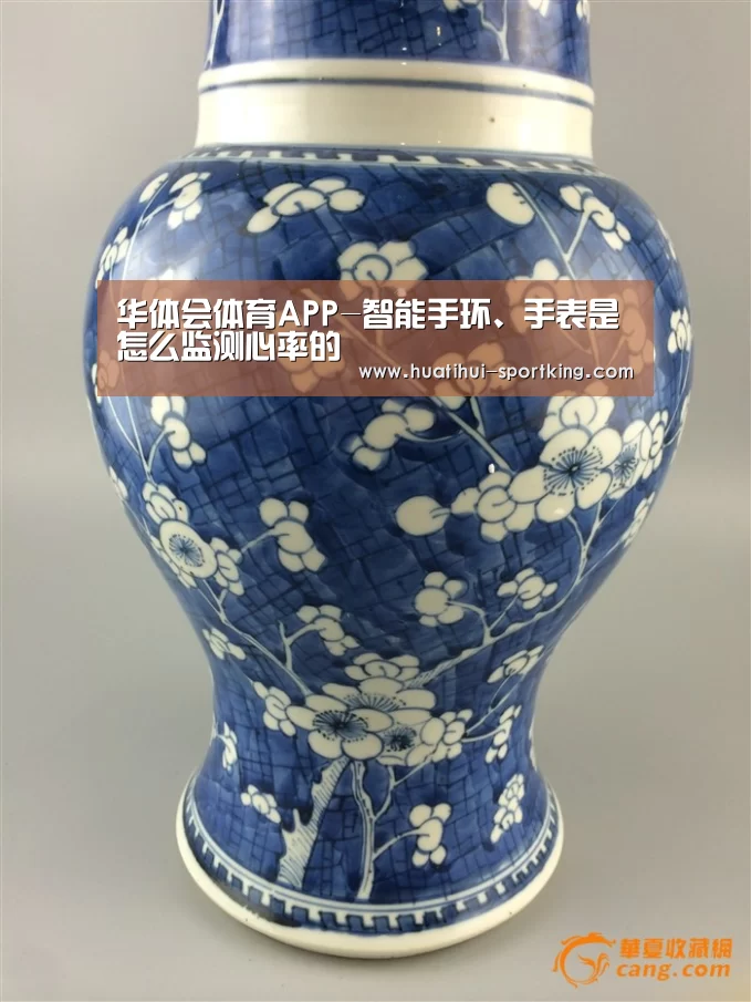 华体会体育APP-智能手环、手表是怎么监测心率的(图1) 华体会滚球