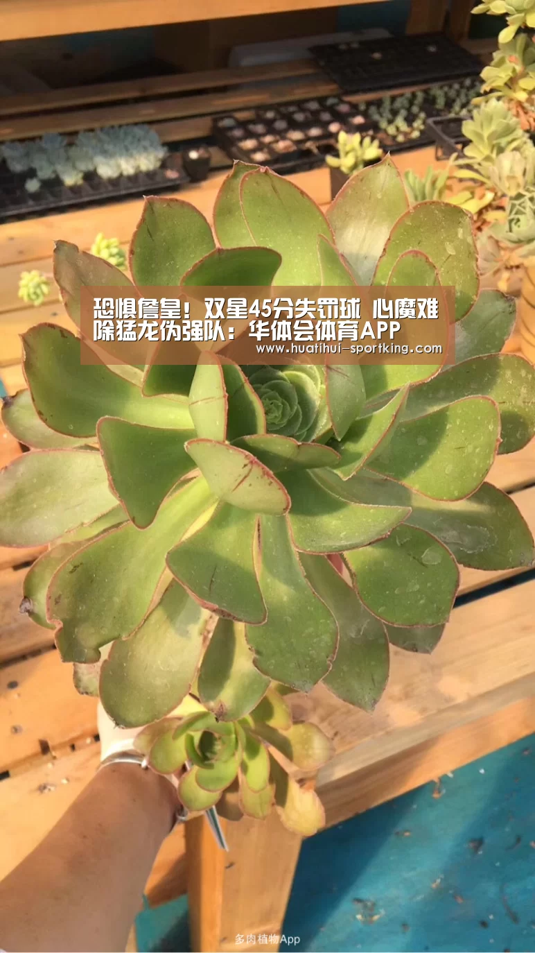 华体会体育娱乐平台