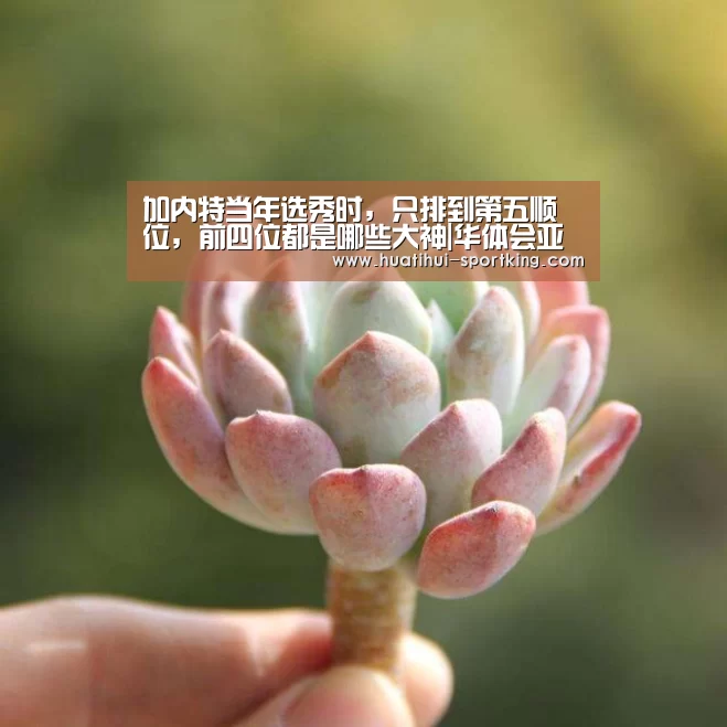 加内特当年选秀时, 只排到第五顺位, 前四位都是哪些大神|华体会亚洲体育(图3) 华体会体育APP