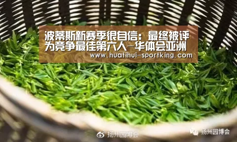 波蒂斯新赛季很自信:最终被评为竞争最佳第六人-华体会亚洲体育(图4) 华体会体育APP