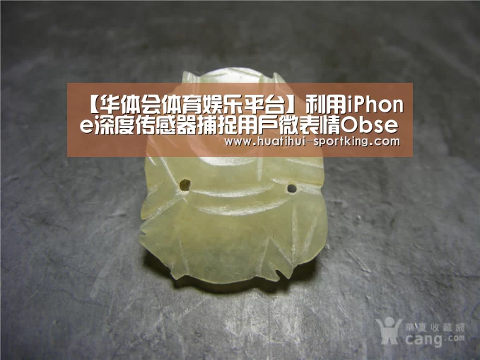 【华体会体育娱乐平台】利用iPhone深度传感器捕捉用户微表情Observant帮你感知用户反应(图3) 华体会体育APP